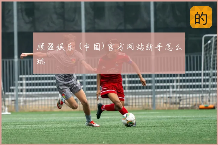 顺盈娱乐 (中国)官方网站新手怎么玩