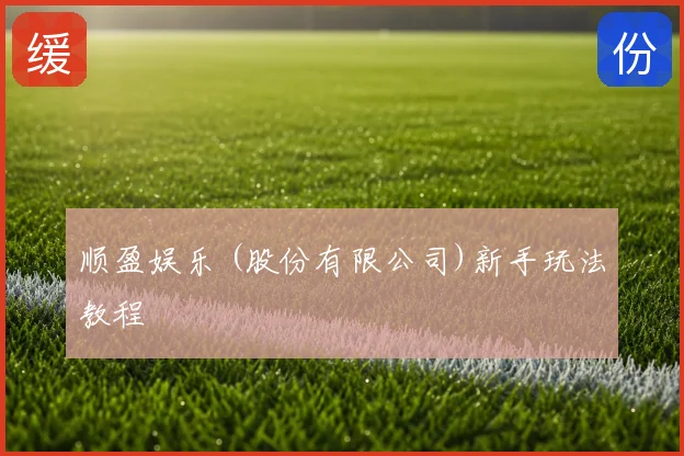 顺盈娱乐 (股份有限公司)新手玩法教程